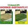 Lawnlift Pre-Mixed Grass Paint 32 Ounce Ready to Spray, No