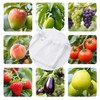 DMIMIA Fruit Protection Bags 100 pcs, Reusable Mesh Bags for