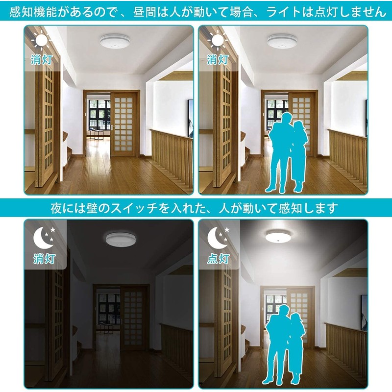 Small Motion Sensor LED Ceiling Light, Light Fixture, Hallway, Entrance
