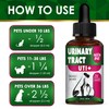 Сat Urinary Tract Infection Treatment with Cranberry – Dog UTI