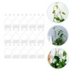 50pcs Self-adhesive Plant Fixing Hooks White Wall Climbing Fixture Clips