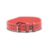 Pink Weightlifting Belt-Phil 4:13