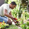 PROGANDA 3 Pairs Superior Grip Colourful Gardening Work Gloves Comfortable