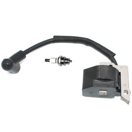 Ignition Module EWith Spark Plug BM6A For Ryobi RY09460 RY13010 RY34000 RY34420 RY34421 RY34440(S430) RY34441 RY64400 FY09440 RY34001 RY34442 RY34005 RY34426 RY34446 RY34006 RY13015 RY34425 RY09465