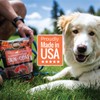 Smart Cookie All Natural Dog Treats - Healthy Skin &
