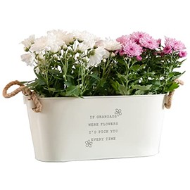 Engraved Flower Pot 'If Grandads Were Flowers I'd Pick You' - Unique Indoor Outdoor Herb Planter - Fathers Day or Birthday Gift for Grandad from Granddaughter Grandson - Medium Planter