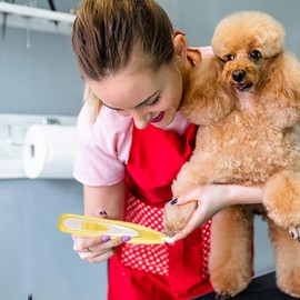 Dog Paw Trimmer | Precise Safe Low-Noise Cordless Dog Trimmer | Fast Comfortable Portable Pet Claw Care For Home, Travel, Salon, Daily-Use