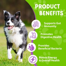 Dachitian 3 in 1 Dog Probiotic Drops, 60ml Prebiotics Drops with Enzymes Supports Diarrhea & Itchy Skin Relief, Helps Constipation & Gut Health, for All Breeds & Ages