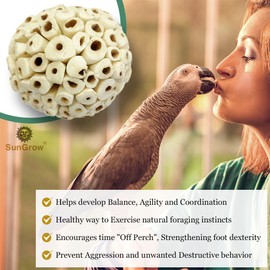 SunGrow Sola Atta Foraging Balls, 2”, White Soft Chew Shred Bird, Hamster Toys, Natural Chewing Accessories for Conure, Budgie, Parakeet, Parrot, Cockatiel, 3Pcs/Pack
