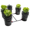 Indoor Hydroponics Growing System, 5 Gallon Round Bucket Deep Water