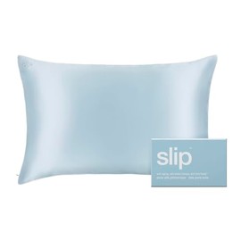 slip The Original Queen Pure Silk Pillow Case - 100% Pure 22 Momme Mulberry Silk - Queen Size Standard Pillow Case - Anti-Aging, Anti-BedHead, Anti-Sleep Crease, Seabreeze (20" x 30")