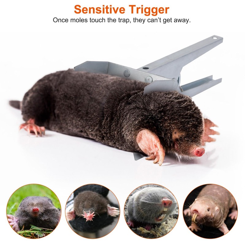 iMounTEK Easy Setup Mole Traps 4Pack Reusable Mole Control with