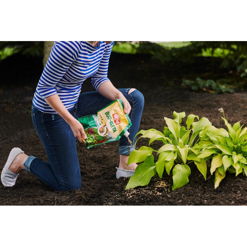 Ortho Bug-Geta Snail & Slug Killer2