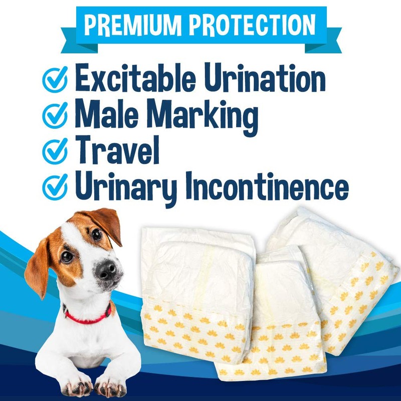 Bodhi Dog Disposable Male Dog Diapers - Super Absorbent, Leak-Proof