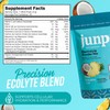 JUNP Sugar Free Electrolytes Powder Packets for Water Instant Hydration