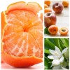 Aromas Para Difusores Profesionales A Base De Aceites 100ml Spa