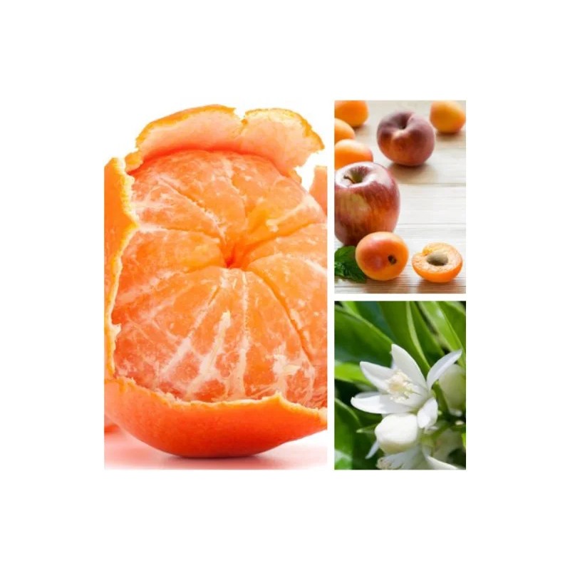 Aromas Para Difusores Profesionales A Base De Aceites 100ml Spa