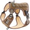 PawsPassion Tactical Dog Harness for Small Dogs, Chew-Proof Metal Hardware,