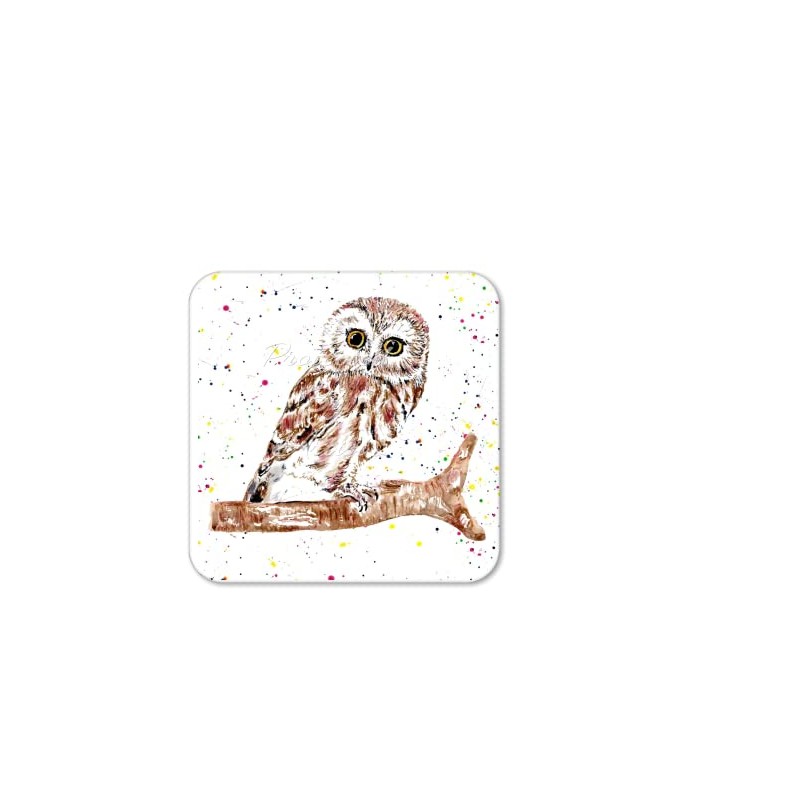 Coaster Owl British Wildlife Hand Painted Animals Coasters Watercolour Art