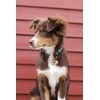 Beau's Bells 2 Extra Loud Cat & Dog Bells |