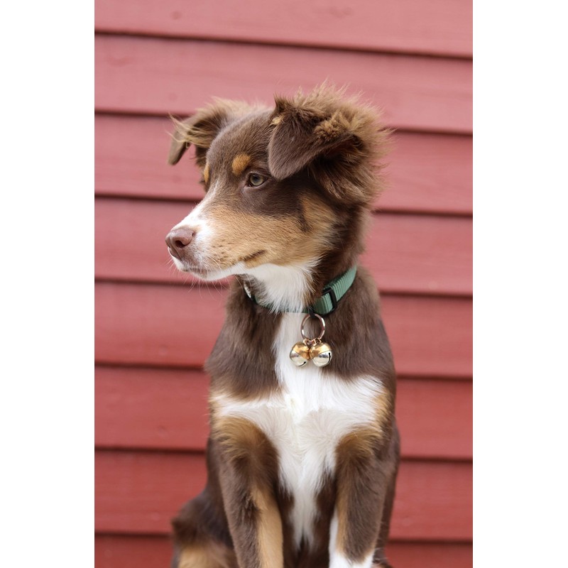Beau's Bells 2 Extra Loud Cat & Dog Bells |