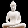 Qinlang 6 inch Small White Buddha Statue for Home Decor,