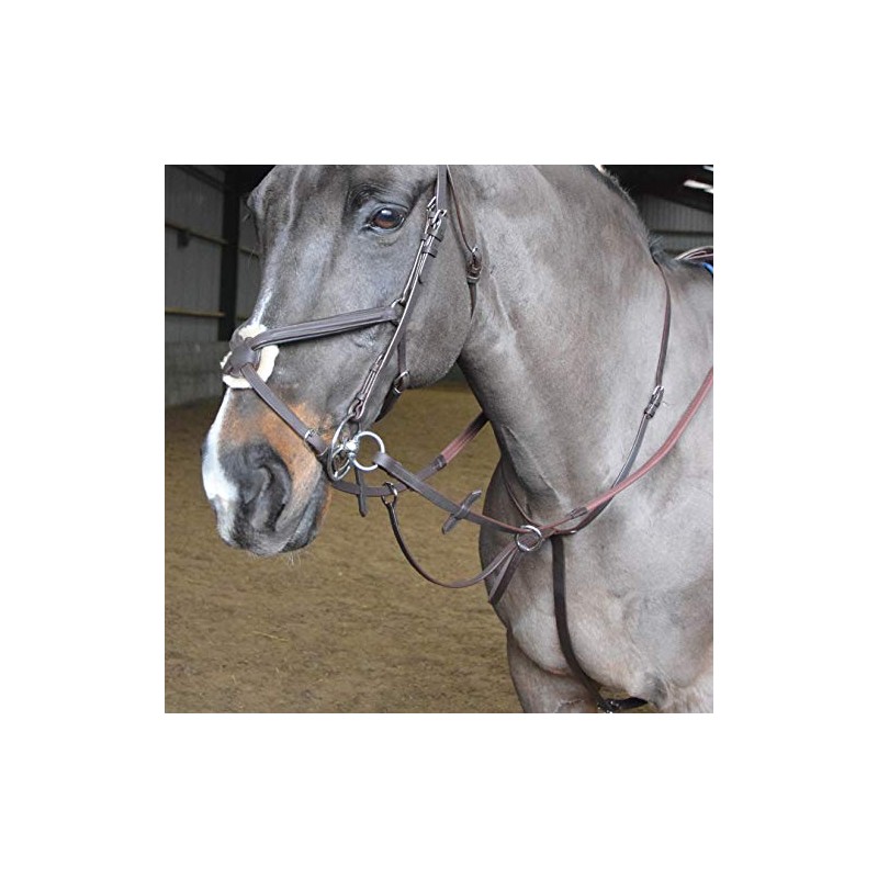 John Whitaker Ready to Ride Martingale Full Size Havana