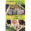 Leap Raupe Seedling Pot, Non-woven Pot, Non-woven Planter, Pot, No.