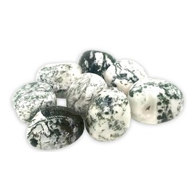 TENET - Pack of 5 cut stones for crystal therapy and reiki - 25-30 mm (AGATA DENDRITICA)