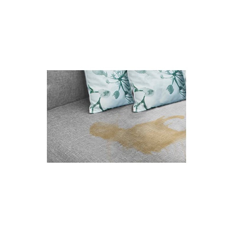 Captain Clean Urine Ex 650 ml