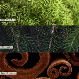 ILLUME Boxed Votive Candle, Balsam & Cedar