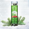 Scentsicles White Winter Fir Scent Sticks, Green