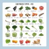 (Vegetable Freshness Storage Bags) 10 Piece Vegetable Fruit Storage Bag,