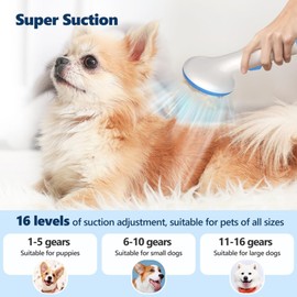 Pet Grooming Vacuum Kit, Low Noise Dog Grooming Vacuum for Shedding with 2L Large Capacity Hair Storage, Dog Vacuum with 5 Professional Tools for Shedding Grooming Dog Cat Pet Hair - Blue