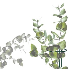 com-four® flower and perennial holder for flowers, vine plants and perennials in various sizes.