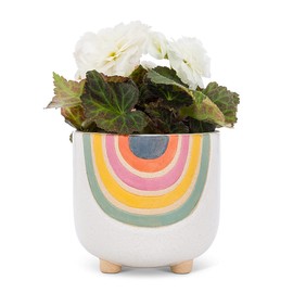 Abbott Collection Home Small Rainbow Planter with Legs