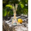 Fragonard Fleur de Citronnier (Lemon Blossom) Reed Diffuser Room Fragrance