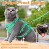 Pawfun Fully Escape Proof Cat Harness and Leash Set for