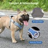 SAEGYPET Dog Harness with Leash Set, No Pull Adjustable Step
