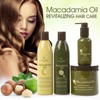 Hair Chemist Brassiness Hair Oil with Lavender Oil 2.5 ounce