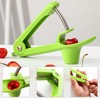 Cherry Pitter Cherry Stone Remover, Cherry Stone Fruit Cherry Pitter