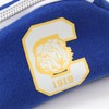 Champion C3-BG704B Outdoor Fleece Lined Rubber Print Ball Pouch Accessories
