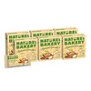 Nature's Bakery Oatmeal Crumble Bars, Apple, 6-6 Count Boxes (36
