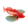 Cat Jinyama Hopebow Bamboo Barley Fish Sea Sea Sea Rock