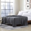 Cathay Home Hotel Luxury Wrinkle & Fade Resistant Double Brushed