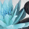 LB Zen Spa Shower Curtain Grey Bamboo Stone with Teal
