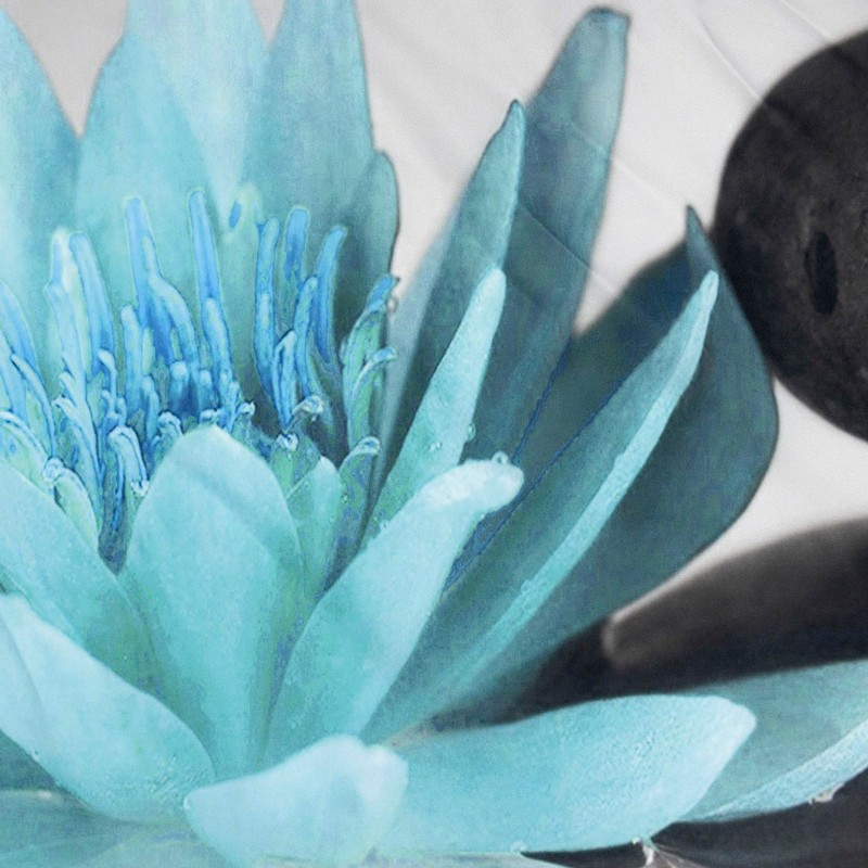 LB Zen Spa Shower Curtain Grey Bamboo Stone with Teal