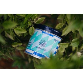 Symbeeosis Organic Genovese Basil - Premium Dried Herb for Cooking, Aromatic Infusions, Digestive Aid - Tropical Subtropical Plant, Ancient Greek Heritage