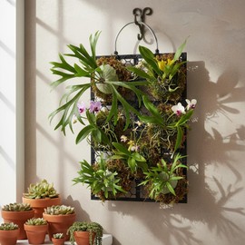 Dranvosk Staghorn Fern Mounting Board Hanging Wall Planter Plant Holder Plant Holder for Plants, Garden Home Decor, Indoor Outdoor Use(27 * 21CM)
