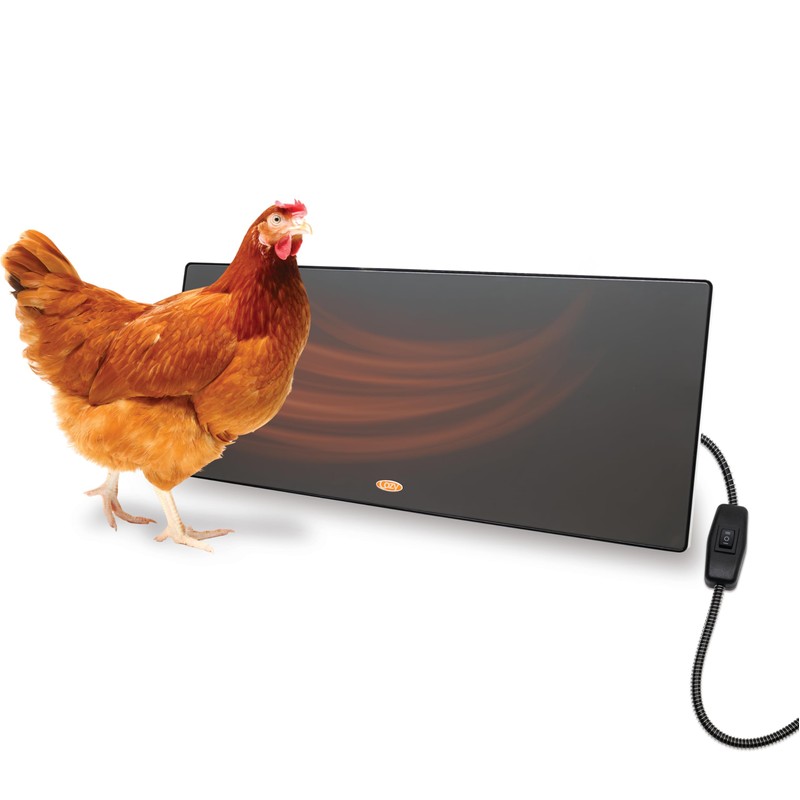 Cozy Products Cozy Coop, Chicken Coop Heater, Flat-Panel Radiant Heater